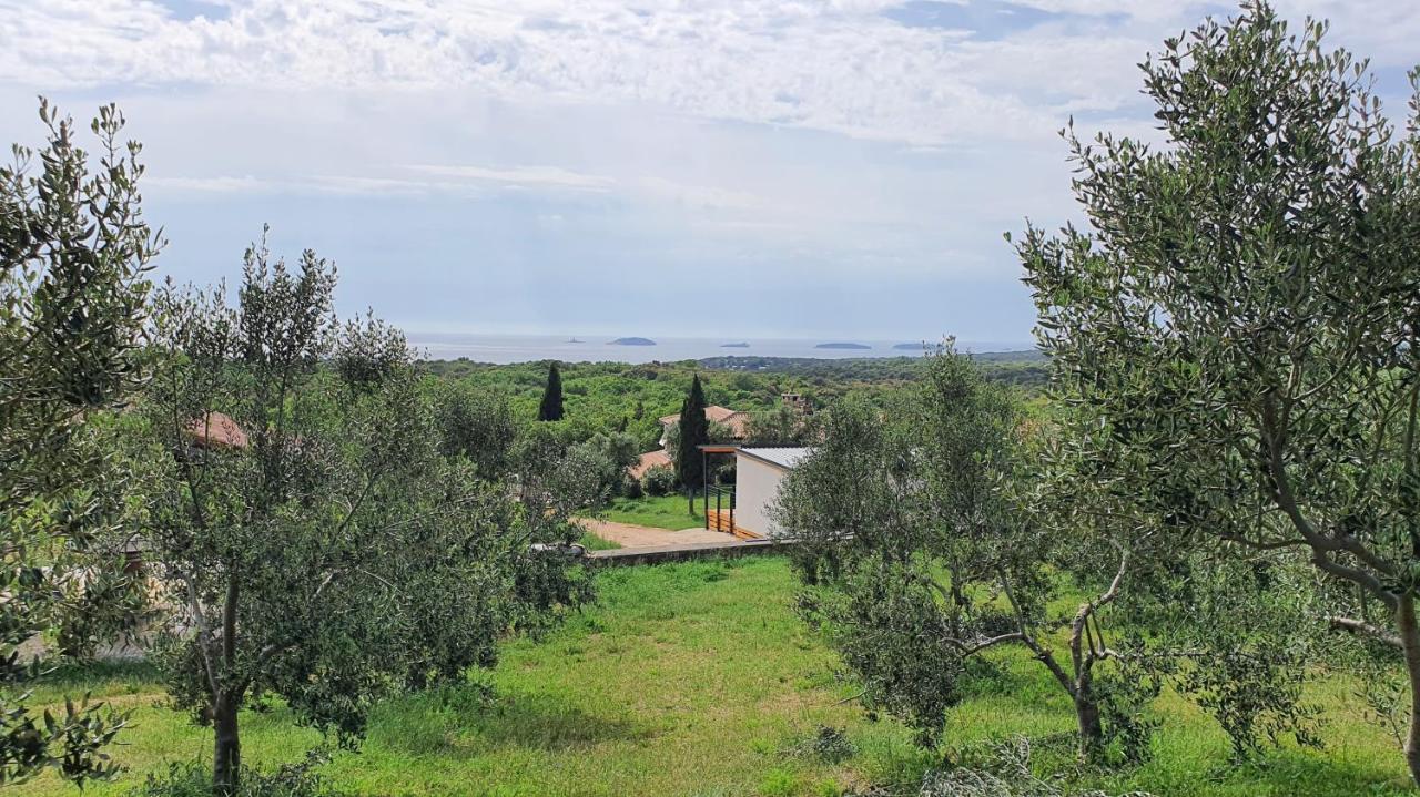 Collis Winery - Family & Friends - Mobilhome Camping